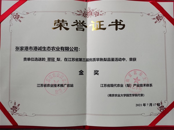荣誉证书